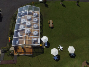 Clear Hocker Marquee on Property with Timber Flooring for Wedding Reception