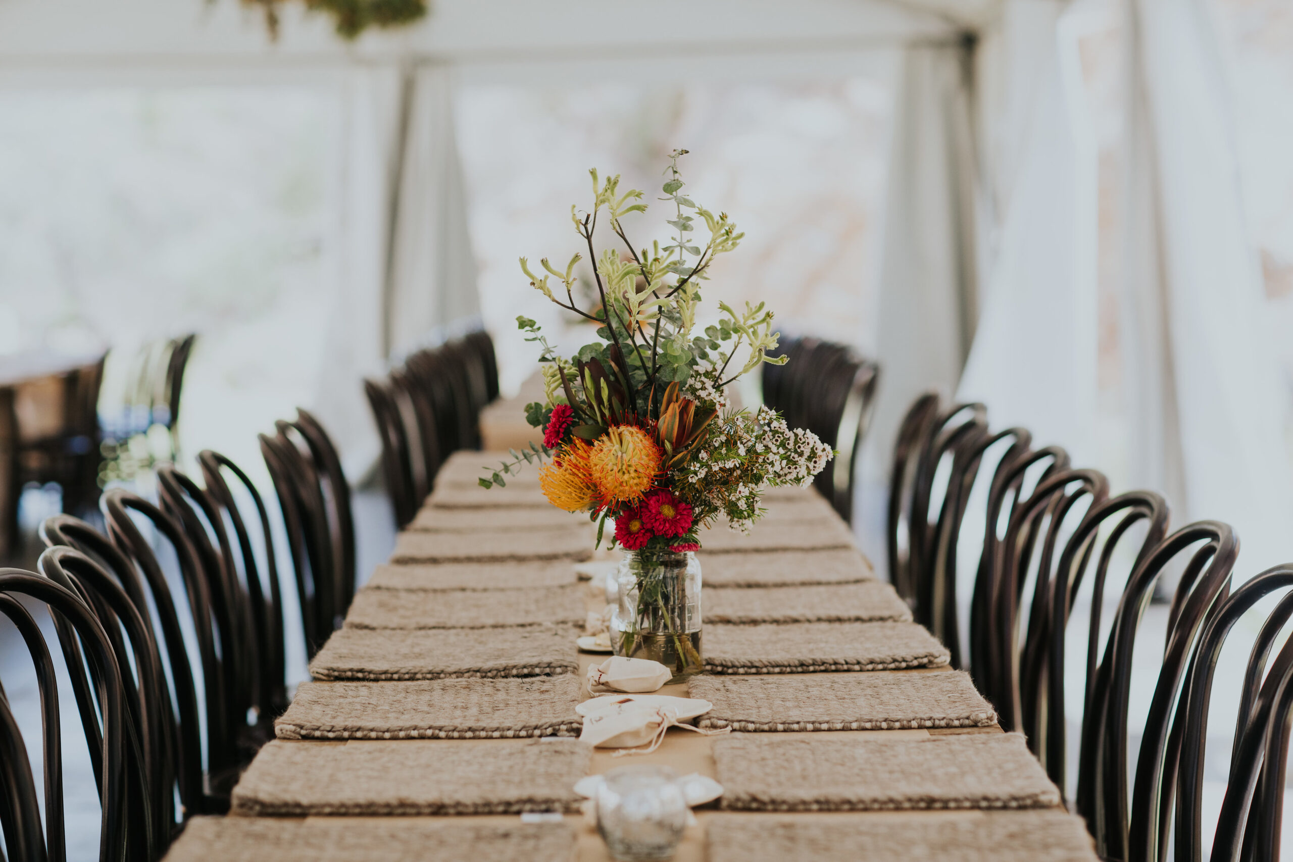 Bentwood chair hire