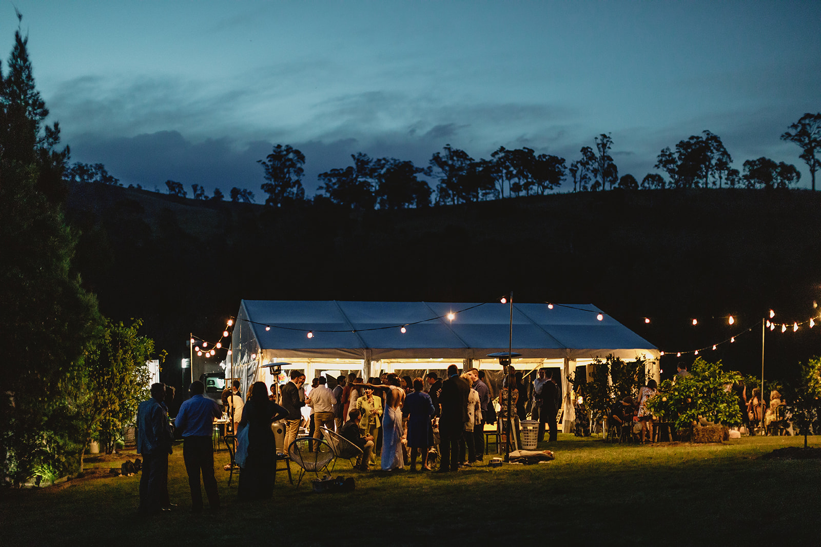 Festoon lighting Central Coast event